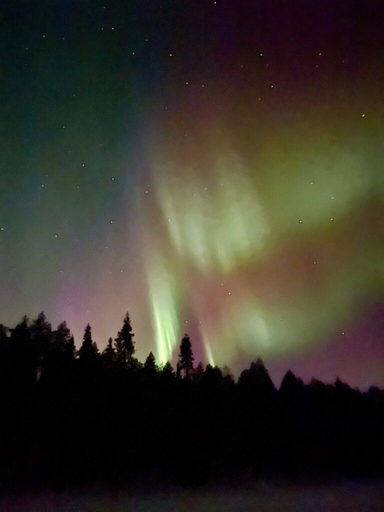 Noorderlicht 2022