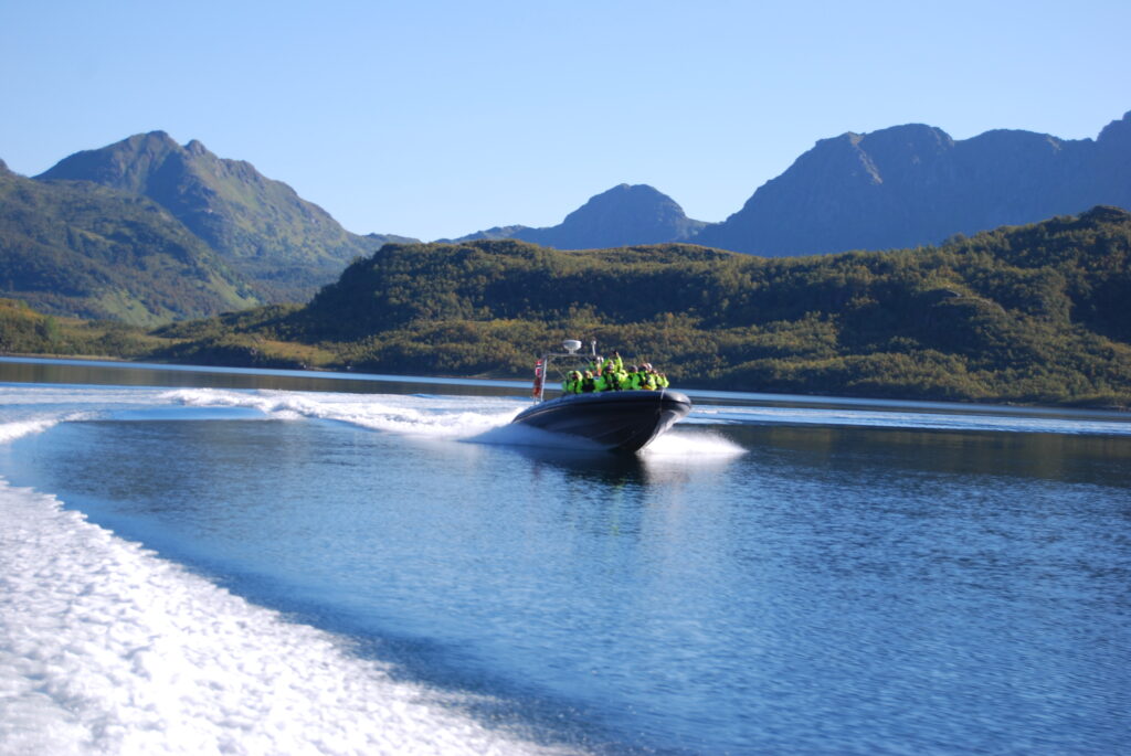 RIB safari Trollfjord